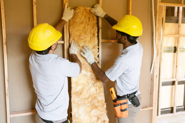 Best Insulation for Existing Homes  in Bard College, NY